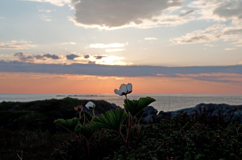 British Airways launches inaugural winter flights to Tromso, Norway