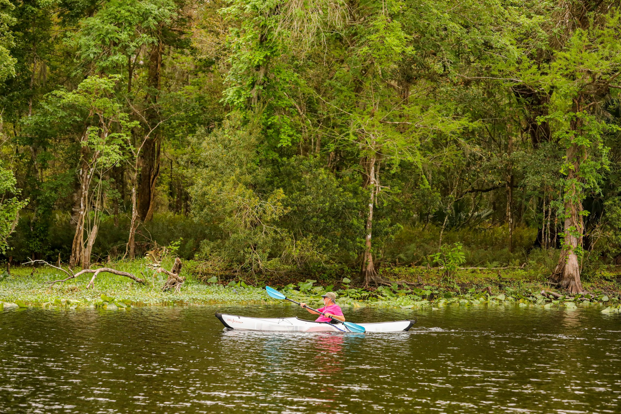 Florida’s Best State Parks for Autumn 2024: Top 10 Must-Visit Destinations