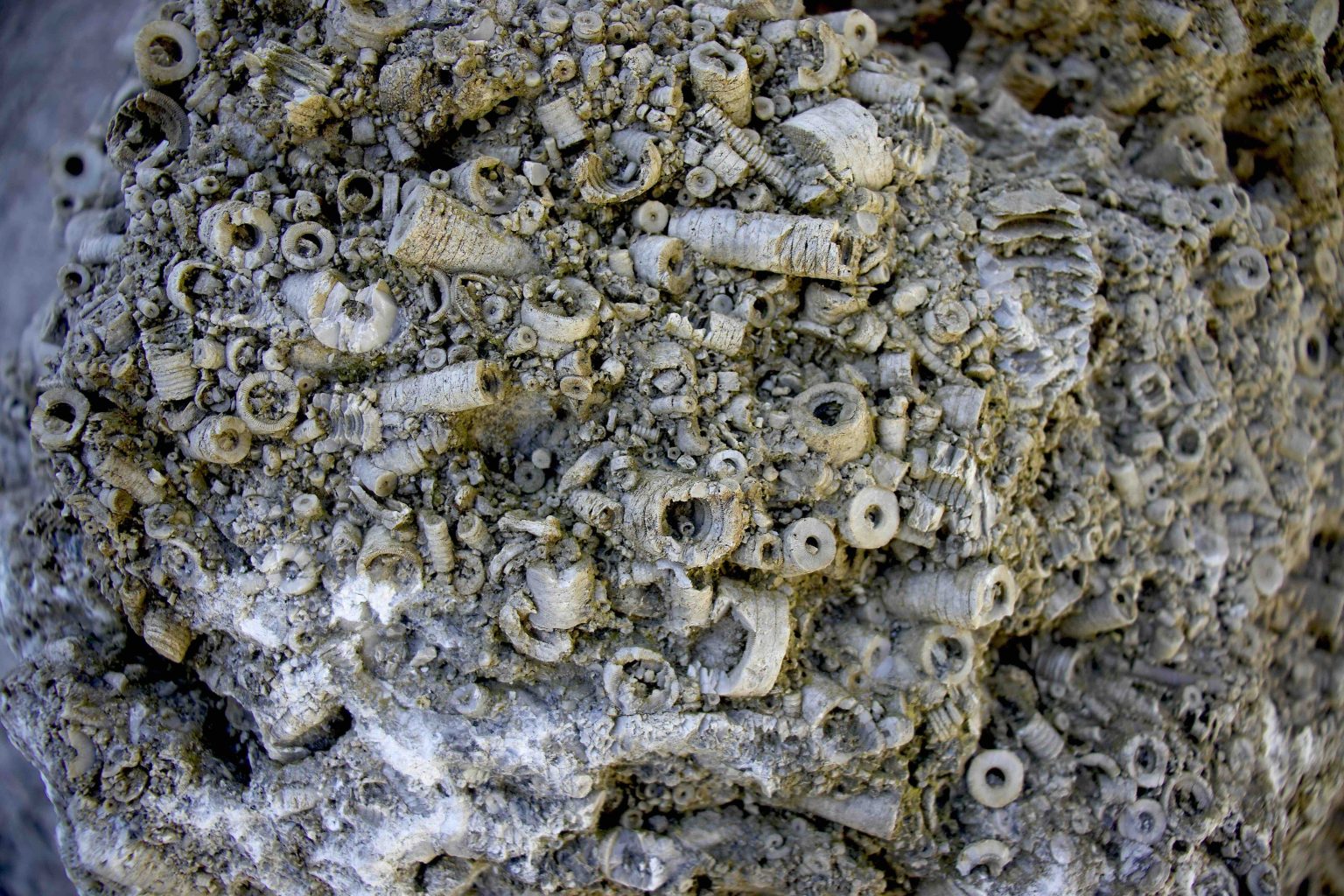 The Cupola Wins Best New Business Silver for Tourism Excellence in Peak District