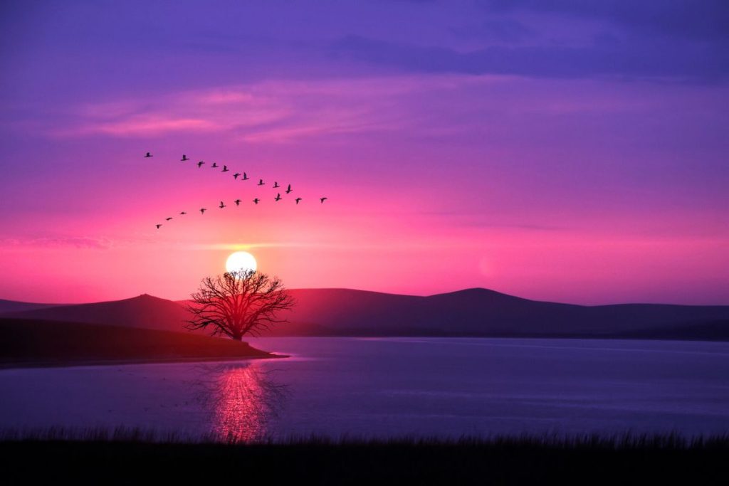 the Most Spectacular Sunsets