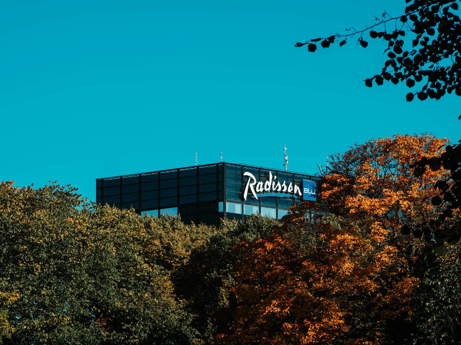 Radisson Blu Housekeepers Begin Six-Week Strike in Canary Wharf