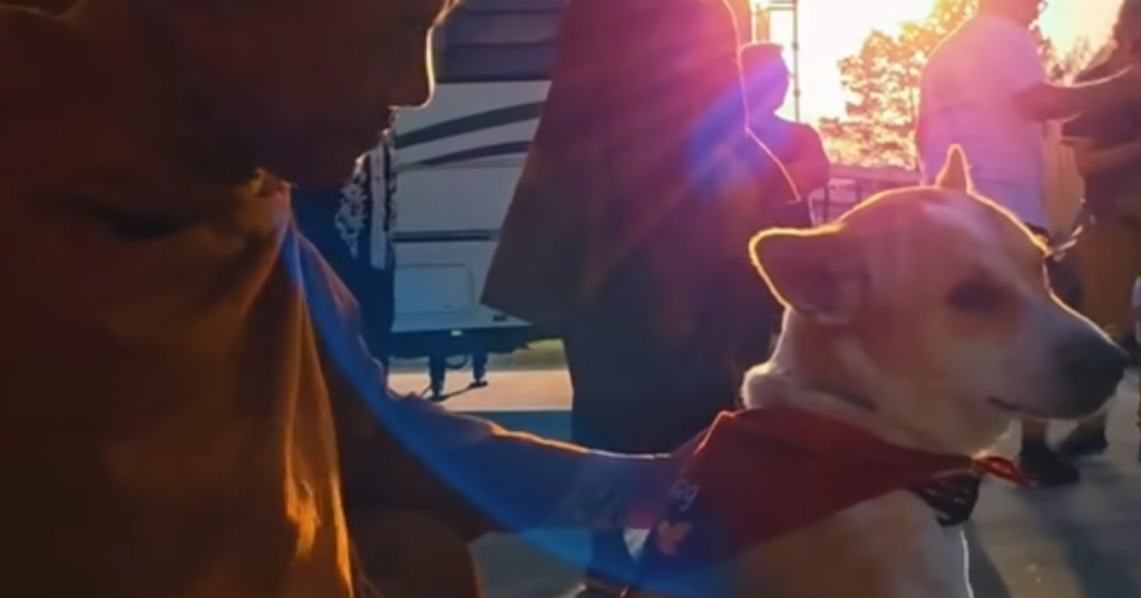 Aloka The Peace Dog and the 2,300-Mile Walk for Compassion