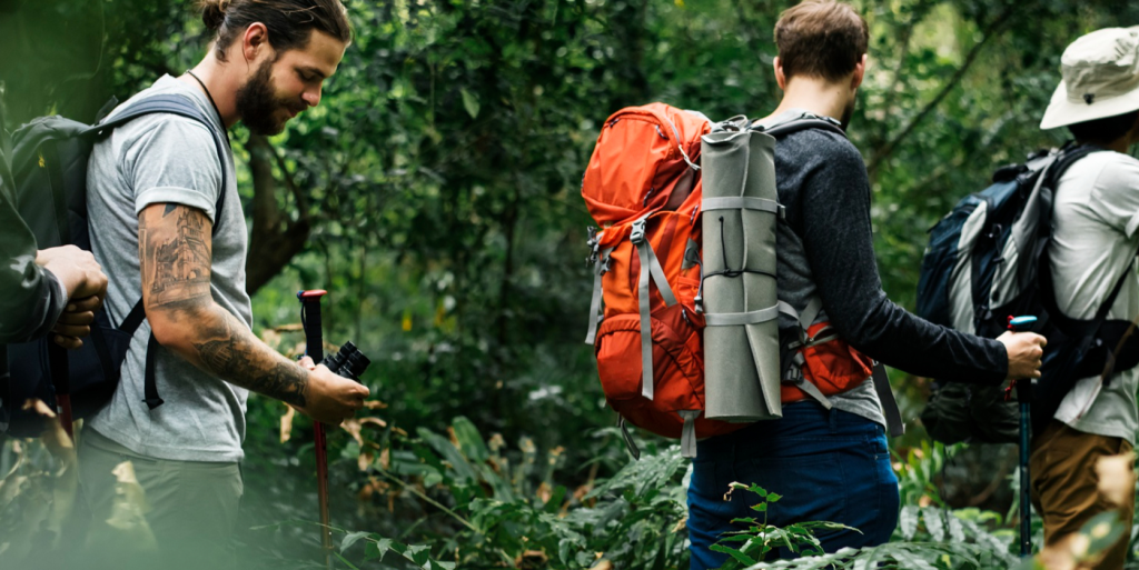 The Unexpected Rebound of Eco-Tourism in 2026