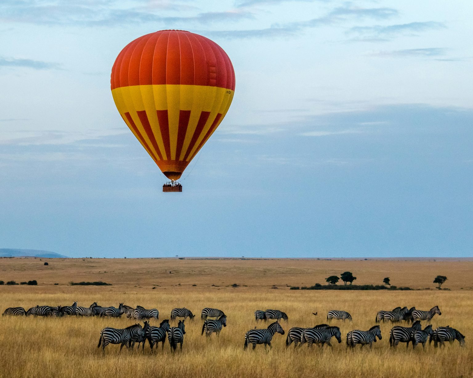 Africa Gains as Airlines Cut Capacity After Iran Conflict