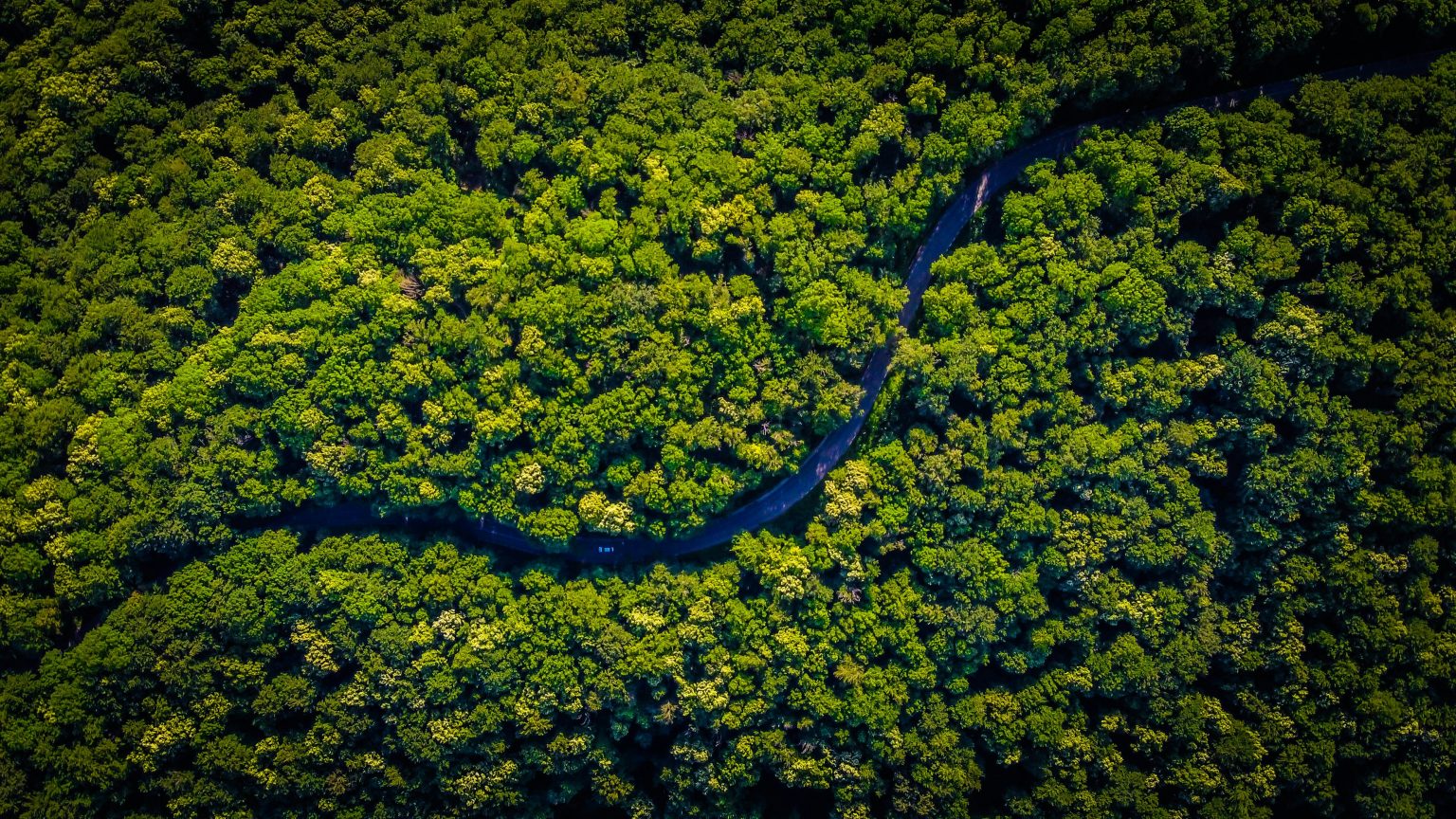 FutureBrand Creates Unified Amazon Identity for Brazil Tourism