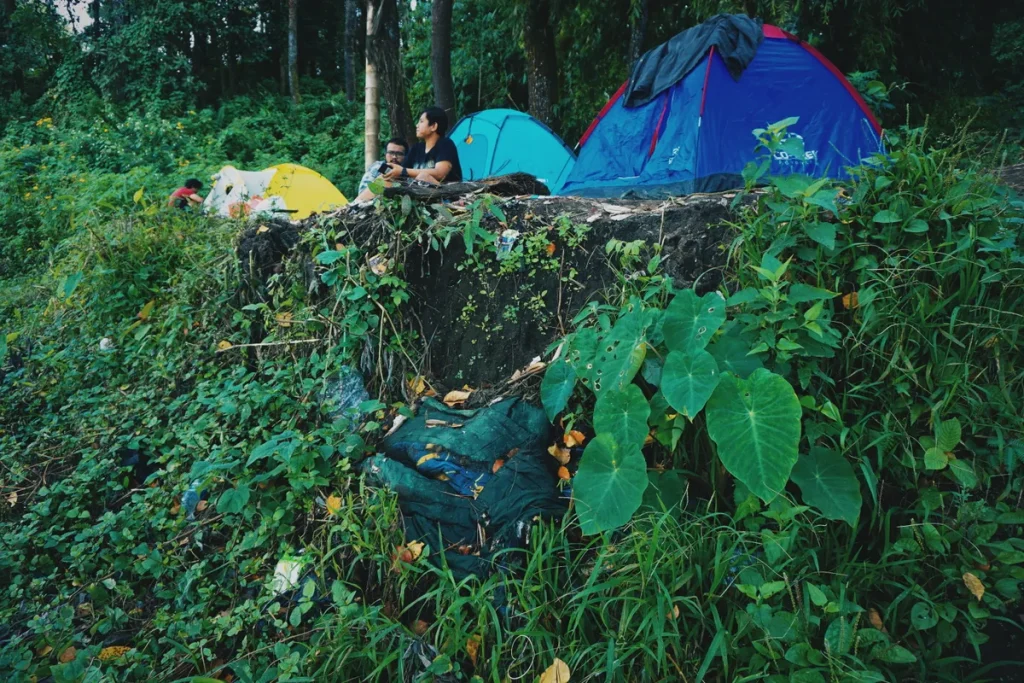 Olympic National Park Remains Identified Nearly 30 Years After Discovery Olympic National Park remains identified