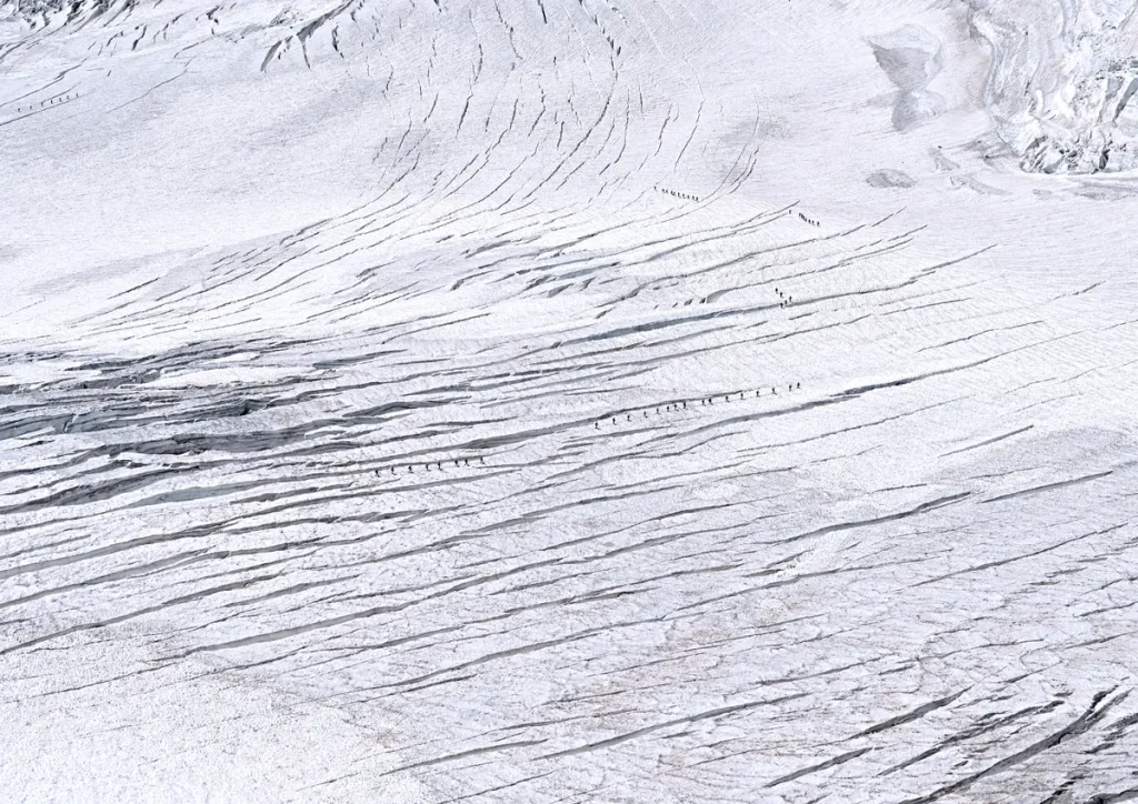 NISAR Antarctica hummingbird image