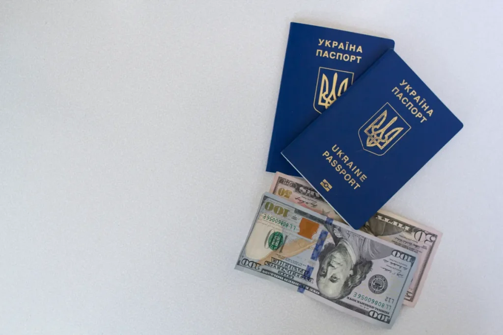 US passport RFID protection