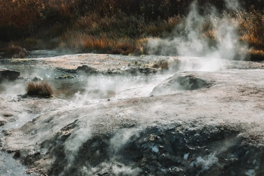 Yellowstone National Park Crowds Hit Record Highs, How Operators Can Help Visitors Beat Them Yellowstone National Park crowds
