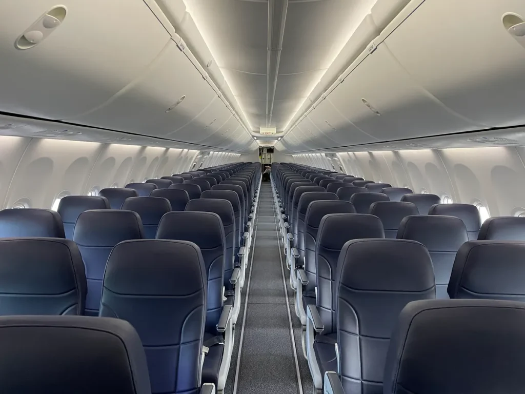 Southwest Airlines in-flight wedding